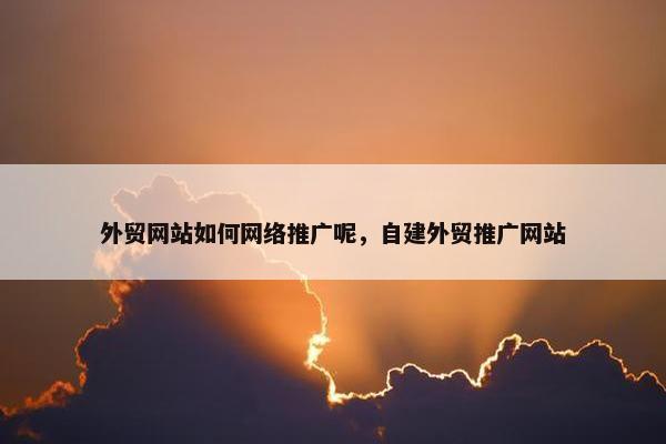 外贸网站如何网络推广呢，自建外贸推广网站