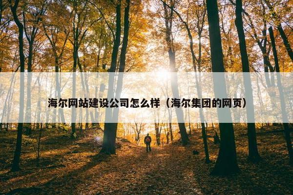 海尔网站建设公司怎么样（海尔集团的网页）