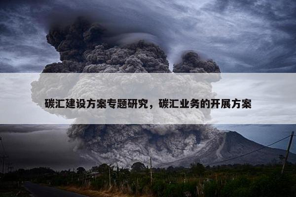 碳汇建设方案专题研究，碳汇业务的开展方案
