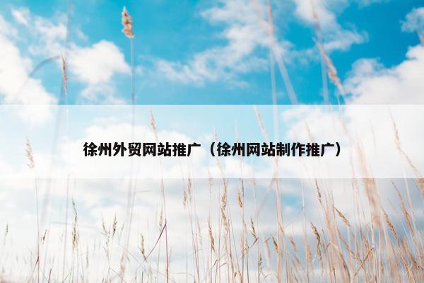 徐州外贸网站推广（徐州网站制作推广）