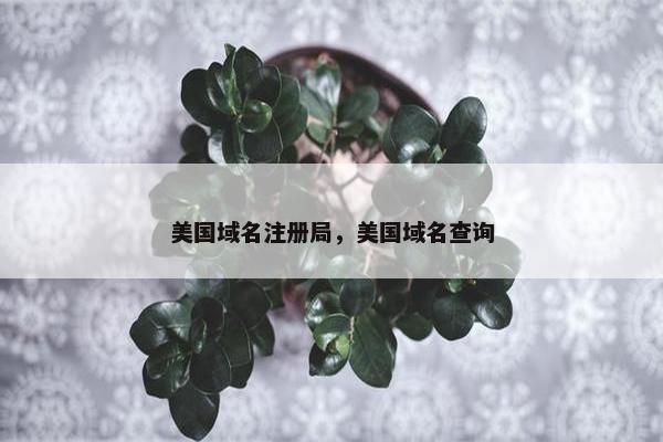 美国域名注册局，美国域名查询