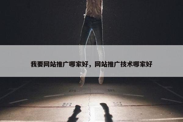 我要网站推广哪家好，网站推广技术哪家好