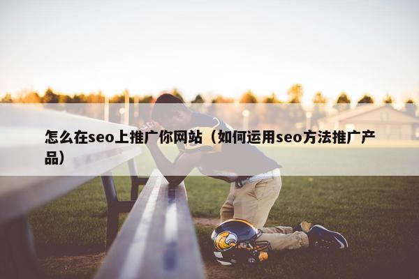 怎么在seo上推广你网站（如何运用seo方法推广产品）