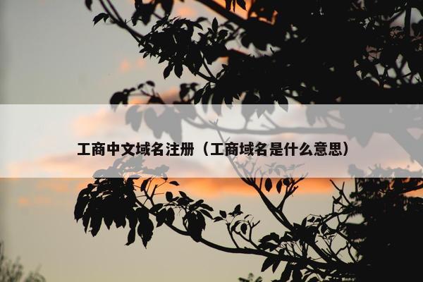 工商中文域名注册（工商域名是什么意思）