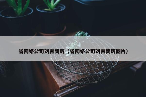 省网络公司刘青简历（省网络公司刘青简历图片）