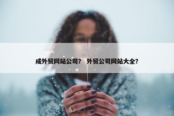 成外贸网站公司？ 外贸公司网站大全？