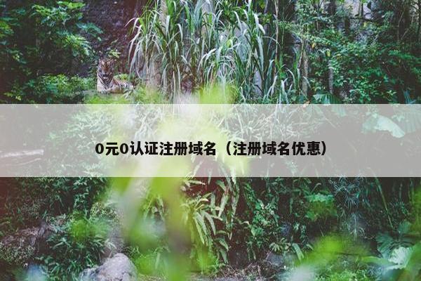 0元0认证注册域名（注册域名优惠）