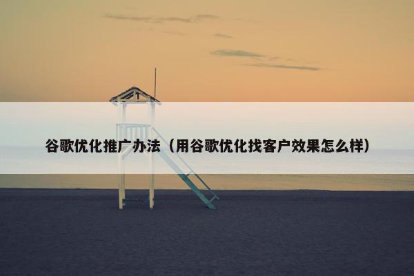 谷歌优化推广办法（用谷歌优化找客户效果怎么样）