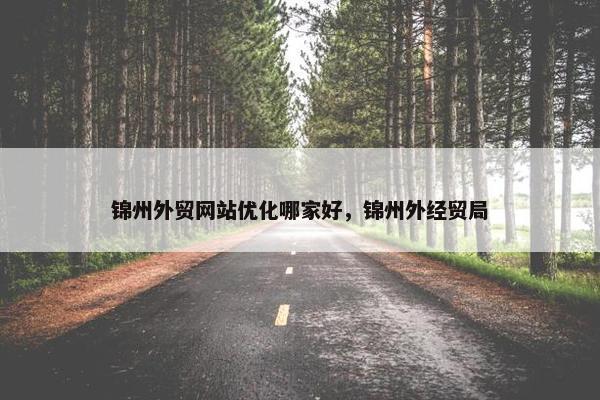 锦州外贸网站优化哪家好，锦州外经贸局