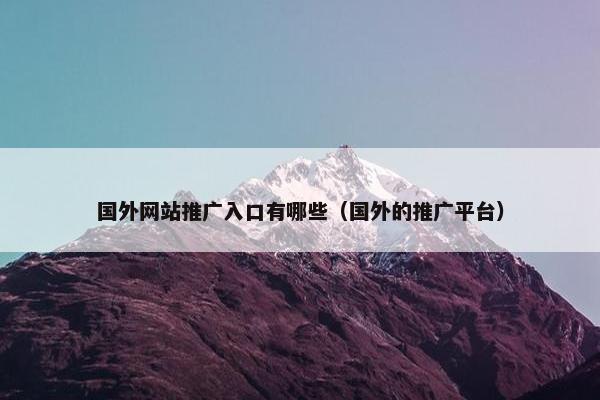 国外网站推广入口有哪些（国外的推广平台）