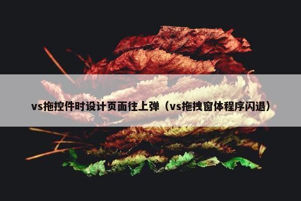 vs拖控件时设计页面往上弹（vs拖拽窗体程序闪退）