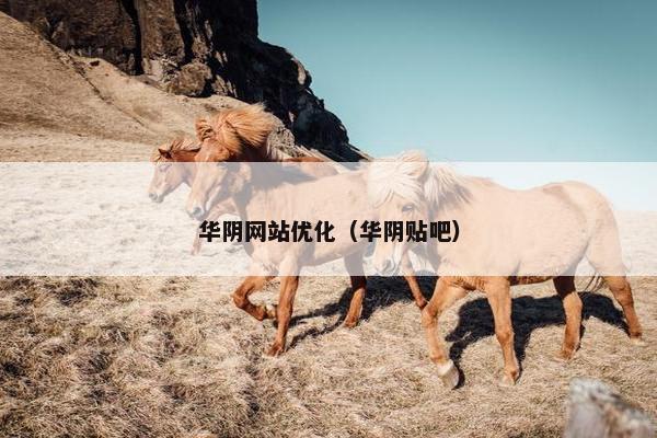华阴网站优化（华阴贴吧）