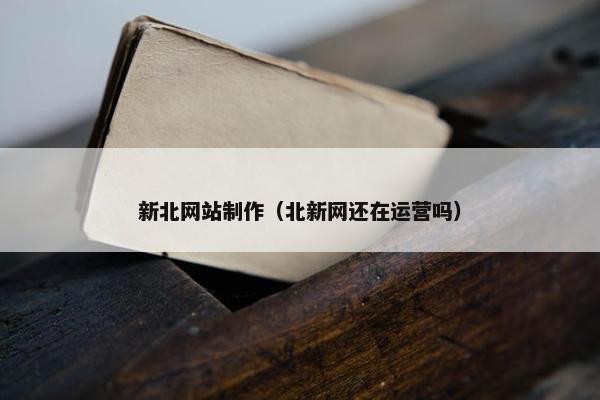 新北网站制作（北新网还在运营吗）
