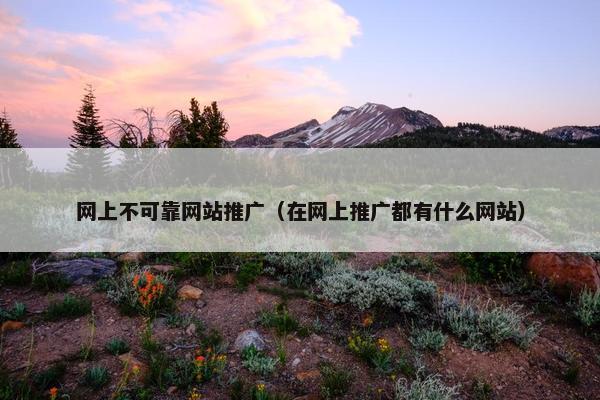 网上不可靠网站推广（在网上推广都有什么网站）