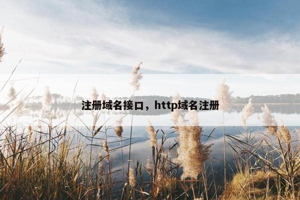 注册域名接口，http域名注册