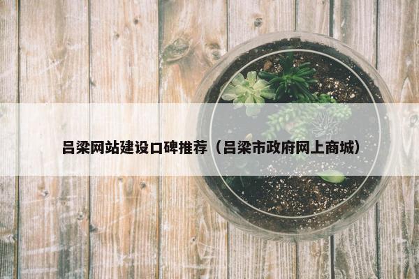 吕梁网站建设口碑推荐（吕梁市政府网上商城）