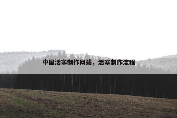 中国活塞制作网站，活塞制作流程
