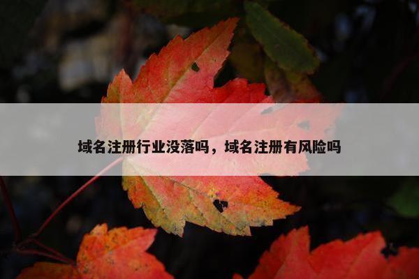 域名注册行业没落吗，域名注册有风险吗