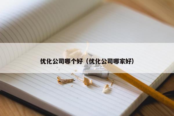优化公司哪个好（优化公司哪家好）