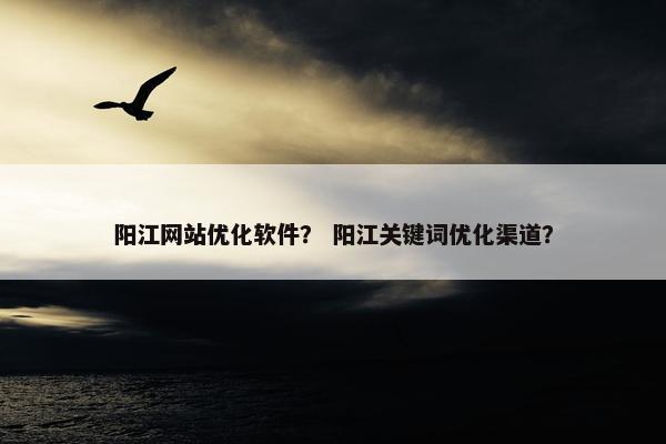 阳江网站优化软件？ 阳江关键词优化渠道？
