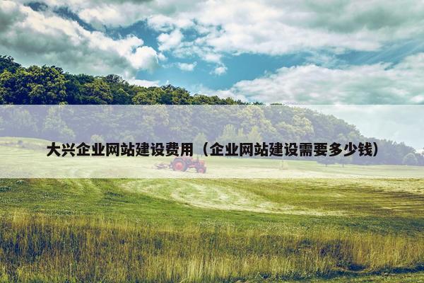 大兴企业网站建设费用（企业网站建设需要多少钱）