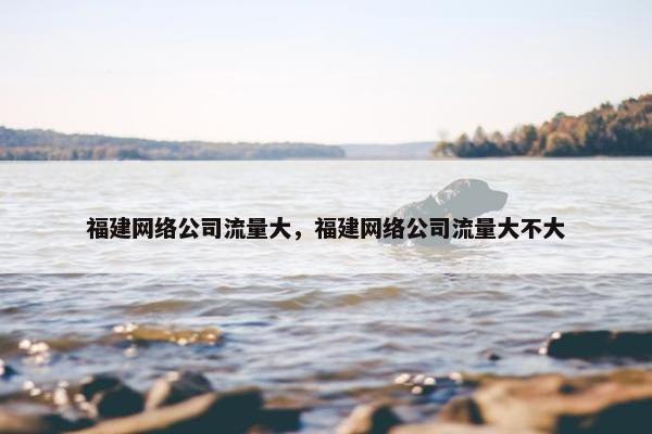 福建网络公司流量大，福建网络公司流量大不大