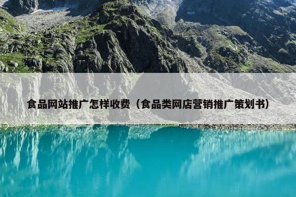食品网站推广怎样收费（食品类网店营销推广策划书）