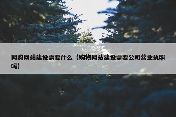 网购网站建设需要什么（购物网站建设需要公司营业执照吗）