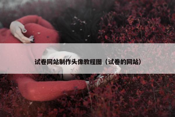 试卷网站制作头像教程图（试卷的网站）