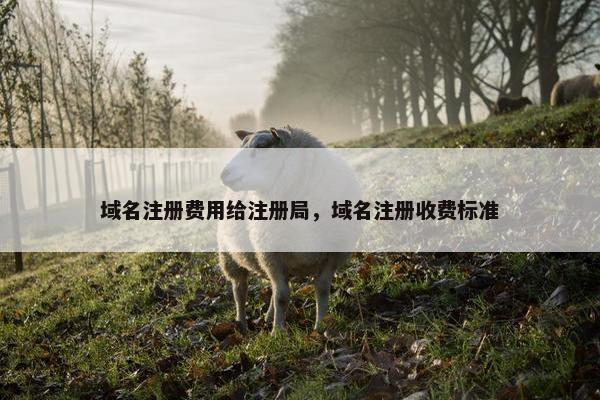域名注册费用给注册局，域名注册收费标准