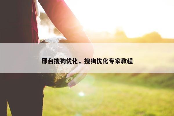 邢台搜狗优化，搜狗优化专家教程