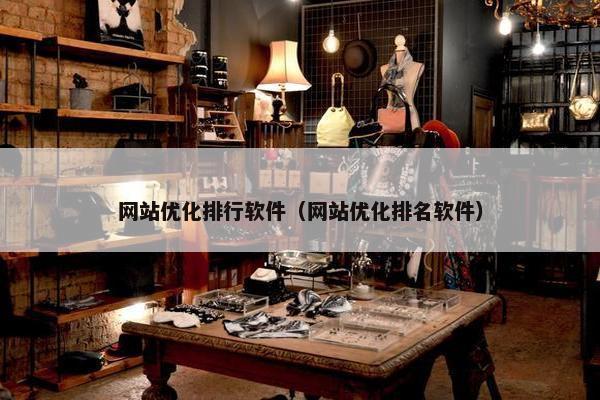 网站优化排行软件（网站优化排名软件）