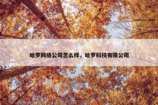 哈罗网络公司怎么样，哈罗科技有限公司
