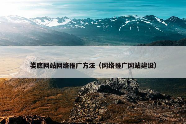 娄底网站网络推广方法（网络推广网站建设）