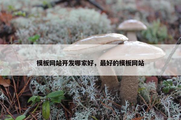 模板网站开发哪家好，最好的模板网站