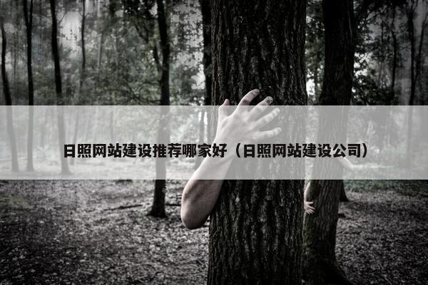日照网站建设推荐哪家好（日照网站建设公司）
