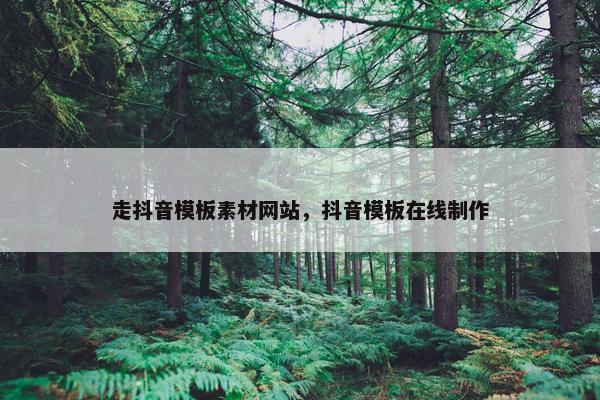 走抖音模板素材网站，抖音模板在线制作