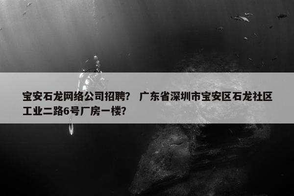 宝安石龙网络公司招聘？ 广东省深圳市宝安区石龙社区工业二路6号厂房一楼？
