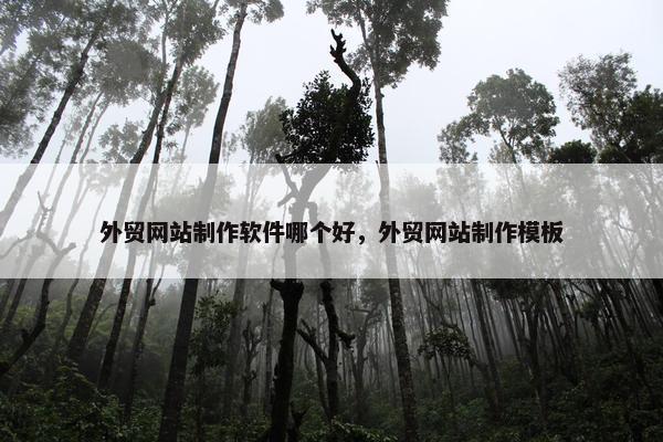 外贸网站制作软件哪个好，外贸网站制作模板
