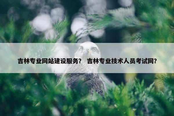 吉林专业网站建设服务？ 吉林专业技术人员考试网？