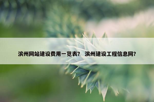 滨州网站建设费用一览表？ 滨州建设工程信息网？