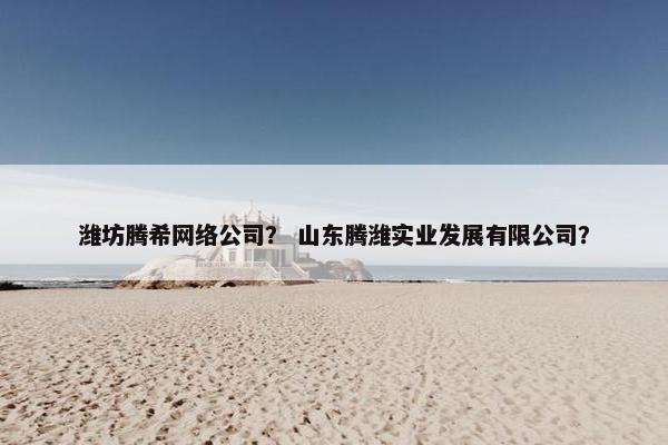 潍坊腾希网络公司？ 山东腾潍实业发展有限公司？