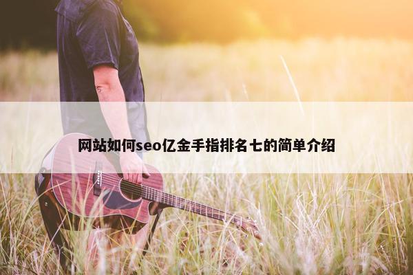 网站如何seo亿金手指排名七的简单介绍