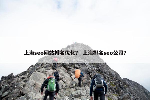上海seo网站排名优化？ 上海排名seo公司？