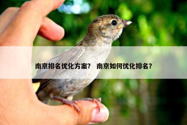 南京排名优化方案？ 南京如何优化排名？