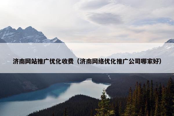 济南网站推广优化收费（济南网络优化推广公司哪家好）