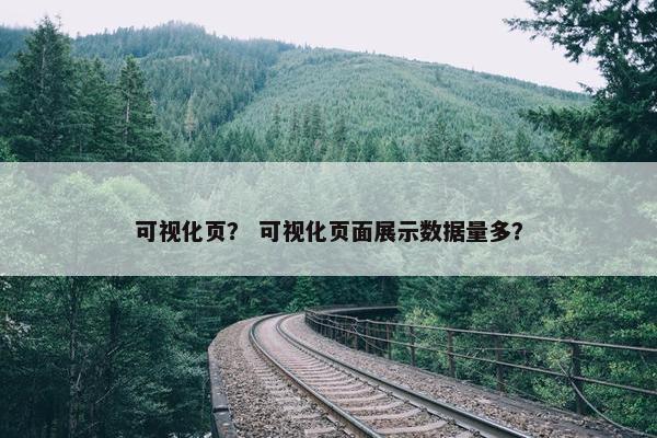 可视化页？ 可视化页面展示数据量多？