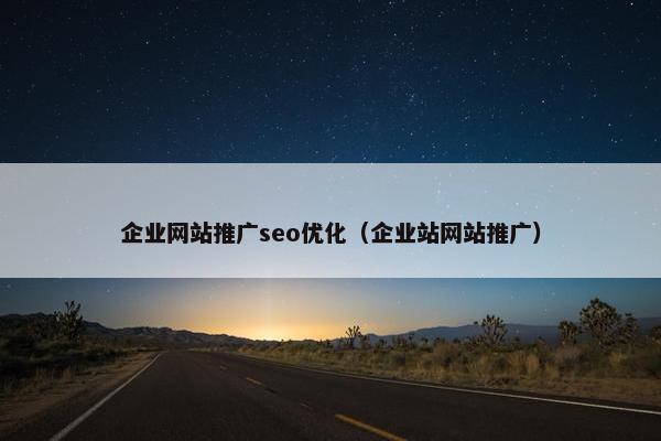 企业网站推广seo优化（企业站网站推广）