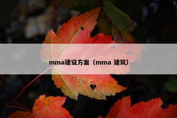 mma建设方案（mma 建筑）