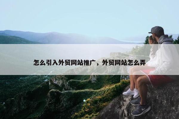 怎么引入外贸网站推广，外贸网站怎么弄